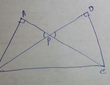 Two right triangles ABC and DBC are drawn on the same hypotenuse BC and on the same side of BC. If AC and BD intersect at P, prove that AP × PC = BP × DP.