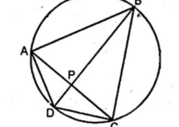Ques 19(b) In the figure (ii) given below, the diagonals of a cyclic quadrilateral ABCD intersect in P and the area of the triangle APB is 24 cm². If AB = 8 cm and CD = 5 cm, calculate the area of ∆DPC.
