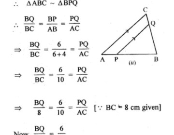 In the figure (ii) given below, PQ∥AC,AP=4 cm,PB=6 cm and BC=8 cm. Find CQ and BQ