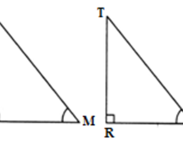 If in two right triangles, one of the acute angles of one triangle is equal to an acute angle of the other triangle. Can you say that two triangles will be similar?