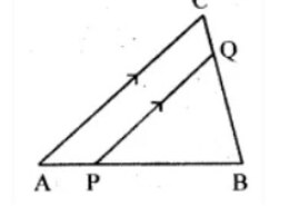 In the figure (ii) given below, PQ∥AC,AP=4 cm,PB=6 cm and BC=8 cm. Find CQ and BQ