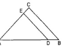 In figure de || bc . if bd = x-3 and ab = 2x ce =x-2 and ac =2x+3. Find x