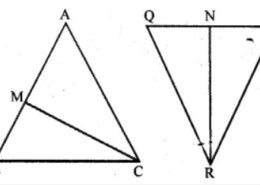 In the given figure, CM and RN are respectively the medians of △ABC and △PQR. If △ABC∼△PQR, prove that: (i) △AMC∼△PQR (ii) CM/RN=AB/PQ (iii) △CMB∼△RNQ.