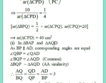 In the figure, given below, ABCD is a parallelogram. P is a point on BC such that BP : PC = 1 : 2. DP produced meets AB produces at Q. Given the area of triangle CPQ = 20 cm2. Calculate: (i) area of triangle CDP, (ii) area of parallelogram ABCD.