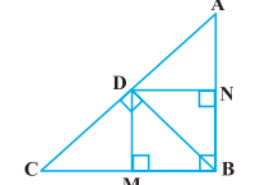 In Fig. 6.57, D is a point on hypotenuse AC of ∆ABC, such that BD ⊥AC, DM ⊥ BC and DN ⊥ AB. Prove that: (i) DM2 = DN . MC (ii) DN2 = DM . AN. Q.2
