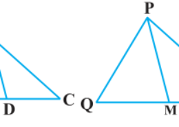 Sides AB and BC and median AD of a triangle ABC are respectively proportional to sides PQ and QR and median PM of ΔPQR (see Fig 6.41). Show that ΔABC ~ ΔPQR. Q.12