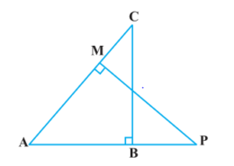 In the figure, ABC and AMP are two right triangles, right angled at B and M respectively, prove that: Q.9