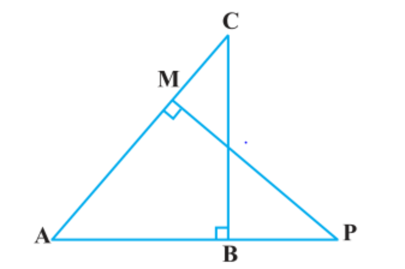 In the figure, ABC and AMP are two right triangles, right angled at B and M respectively, prove that: Q.9