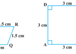 State whether the following quadrilaterals are similar or not: Q.3