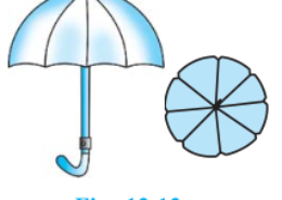 An umbrella has 8 ribs which are equally spaced (see Fig. 12.13). Assuming umbrella to be a flat circle of radius 45 cm, find the area between the two consecutive ribs of the umbrella. Q.10