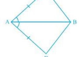 In quadrilateral ACBD, AC = AD and AB bisect A (see Fig. 7.16). Show that ΔABC ΔABD. What can you say about BC and BD? Q.1
