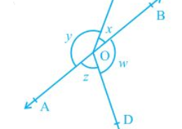 In Fig. 6.16, if x+y = w+z, then prove that AOB is a line. Q.4