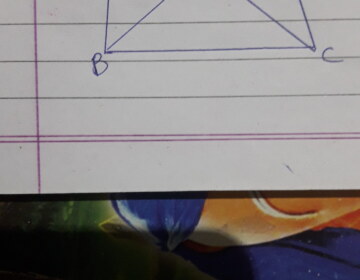 Two right triangles ABC and DBC are drawn on the same hypotenuse BC and on the same side of BC. If AC and BD intersect at P, prove that AP × PC = BP × DP.